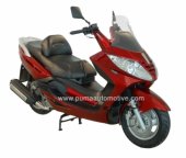 2010 Puma Navona 250 photo